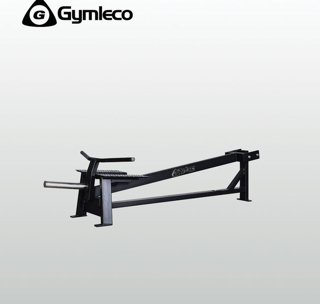 T-Bar Row - 100 Series