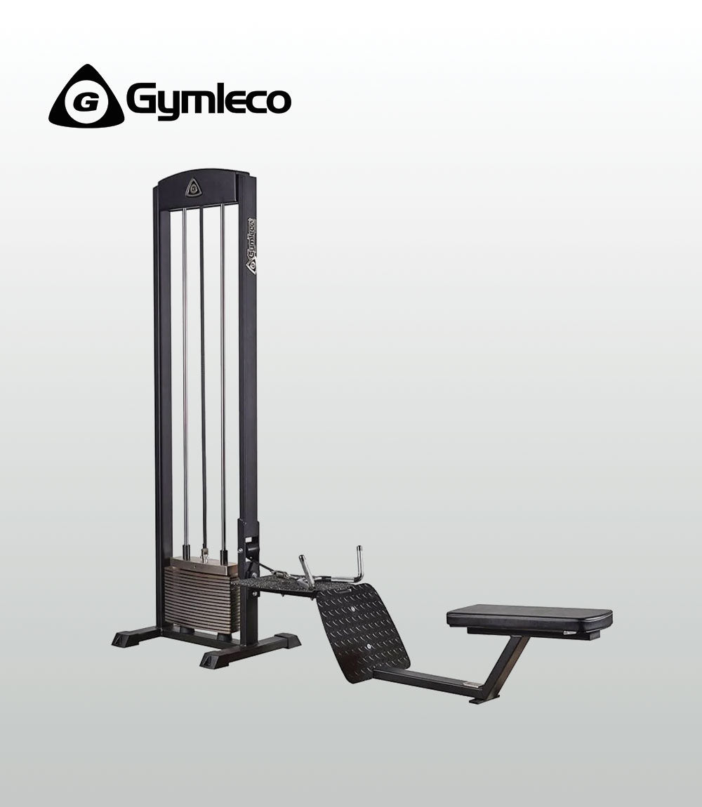Seated Row - 200 Series
