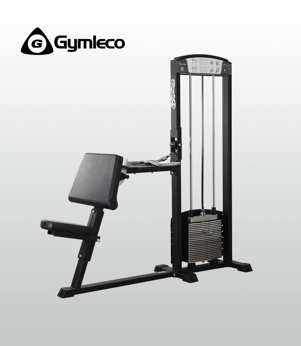 Biceps Curl /Triceps Extension - 200 Series