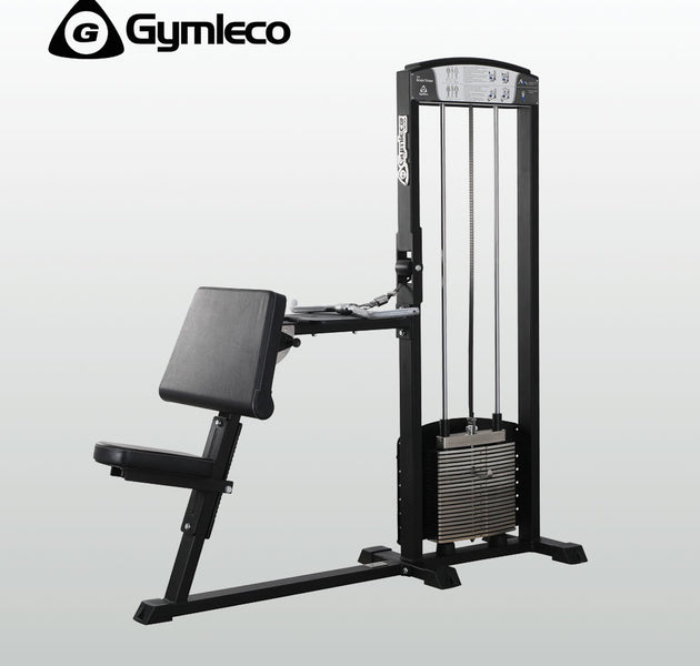 Biceps Curl /Triceps Extension - 200 Series