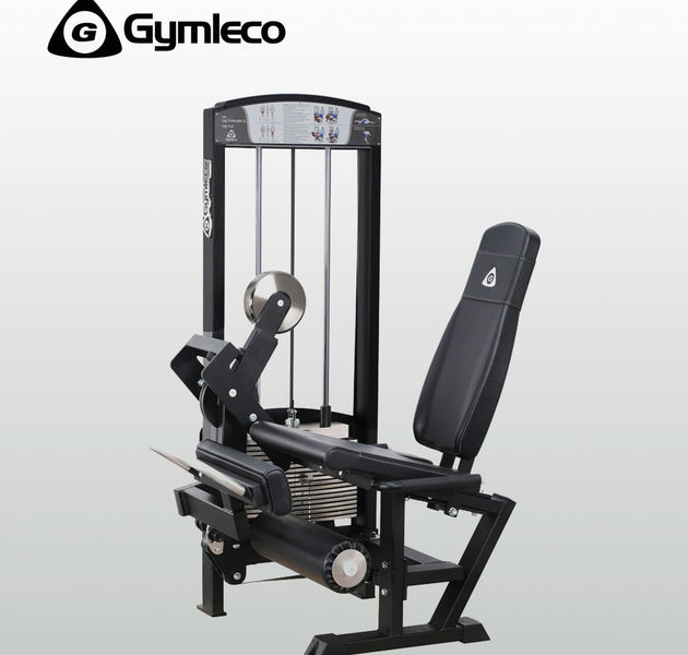 Leg Extension / Leg Curl - 300 Series
