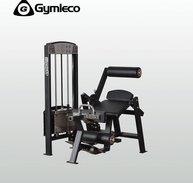 Lumbar / Abdominal - 300 Series