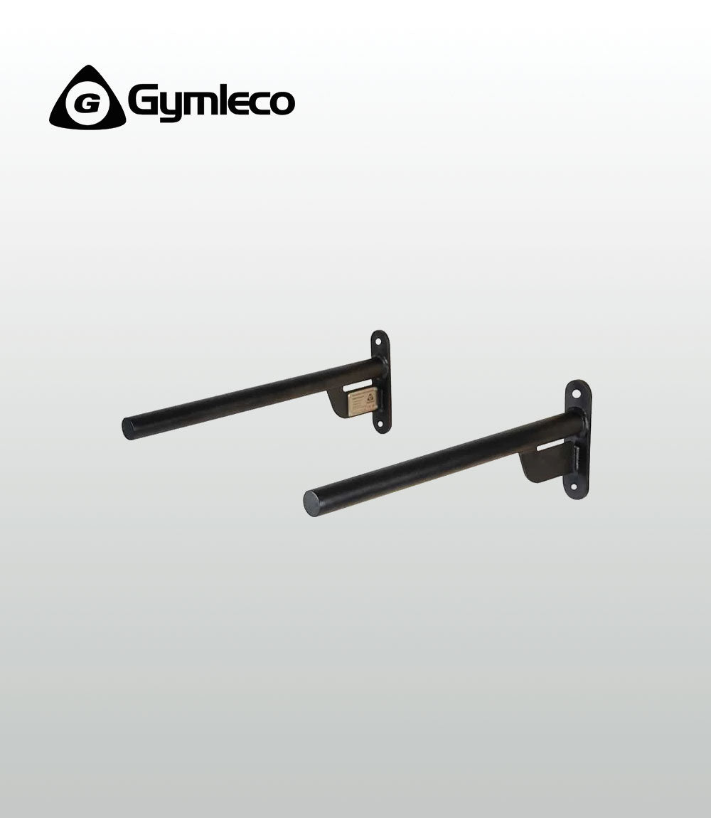 Wall mounted Dip Handles