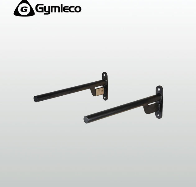 Wall mounted Dip Handles