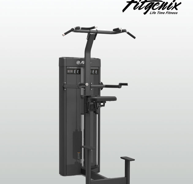 Dip & Chin Assist Machine